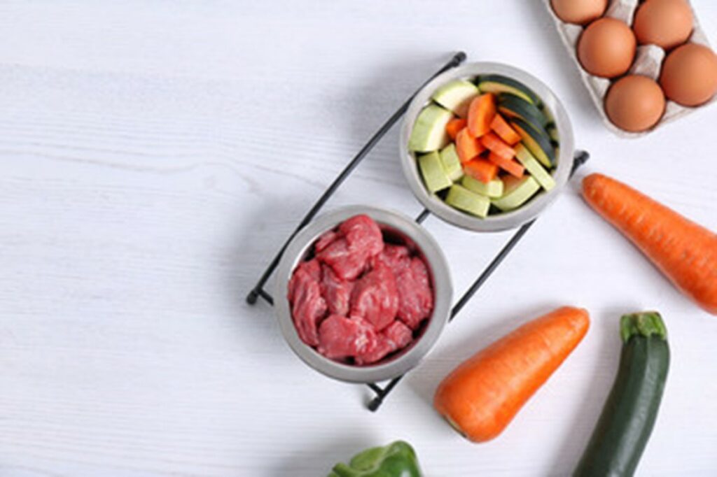 Freshpet Dog Food Reviews Freshpet Reviews